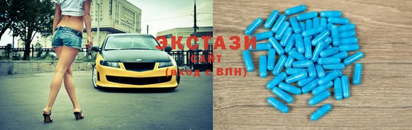индика Ессентукская