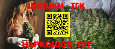 a pvp Бийск