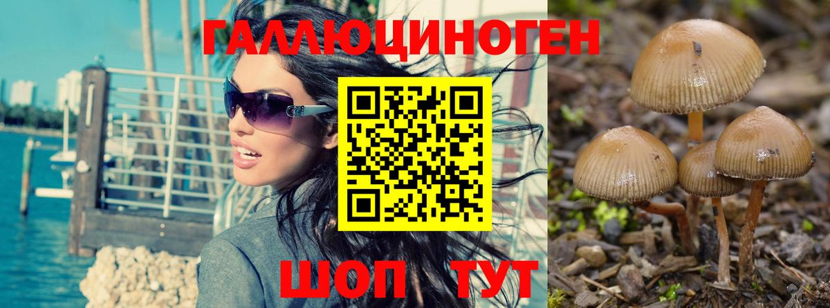 Псилоцибиновые грибы мухоморы  как найти   Богородицк  Галлюциногенные грибы GOLDEN TEACHER  Вход с VPN 