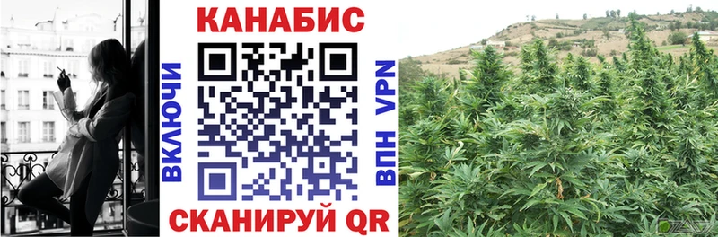как найти закладки  shop официальный сайт  Марихуана сатива  Богородицк 